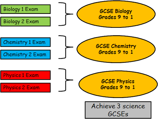 Triple Award Science Achieve 3 Scienec GCSEs